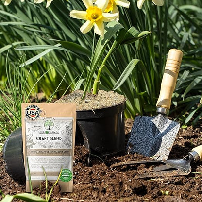 BuildASoil Fertilizer for Vegetable Garden and Organic Plant Food | Hand-Crafted Organic Fertilizer with 15 Premium Ingredients | Ensures Larger Plants and More Fragrant Flowers (3 LB - Small Bag)