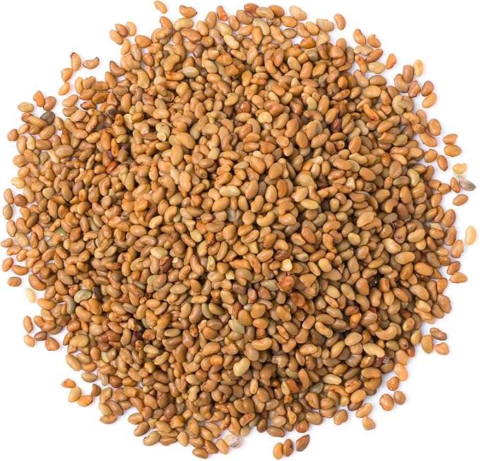 Food to Live Alfalfa Seeds for Sprouting, 15 Pounds – Edible Seeds, Pure, Vegan, Kosher, Bulk. Rich in Vitamin K & C. High Germitation Rate. Grow Sprouts, and Microgreens for Salad, Sandwiches, Rolls.