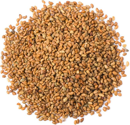 Food to Live Alfalfa Seeds for Sprouting, 1 Pound – Edible Seeds, Pure, Vegan, Kosher, Bulk. Rich in Vitamin K & C. High Germitation Rate. Grow Sprouts, and Microgreens for Salad, Sandwiches, Rolls.