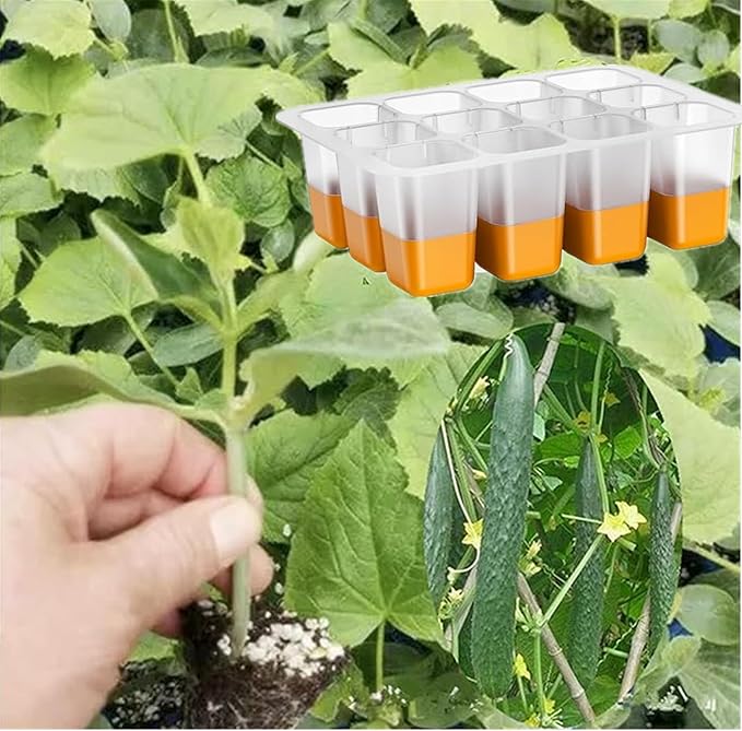 5pcs Seed Starter Tray, Silicone Seeding Starter with Pop-Out Cells (60 Cells in Total), Plant Growing Trays for Seed Starter, Indoor Seeding Planting Growing(5PCS,Orange)