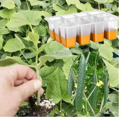 5pcs Seed Starter Tray, Silicone Seeding Starter with Pop-Out Cells (60 Cells in Total), Plant Growing Trays for Seed Starter, Indoor Seeding Planting Growing(5PCS,Orange)