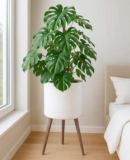 D'vine Dev 16 Inch Planter Pot with Stand, Mid-Century Tall Plant Pot with Legs for Indoor Plants, XX-Large, White, 88-O-E-1