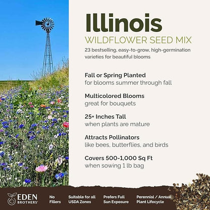 Eden Brothers Illinois Wildflower Mixed Seeds for Planting, 1 lb, 480,000+ Seeds with Cosmos, Blanket Flower | Attracts Pollinators, Plant in Spring or Fall, Zones