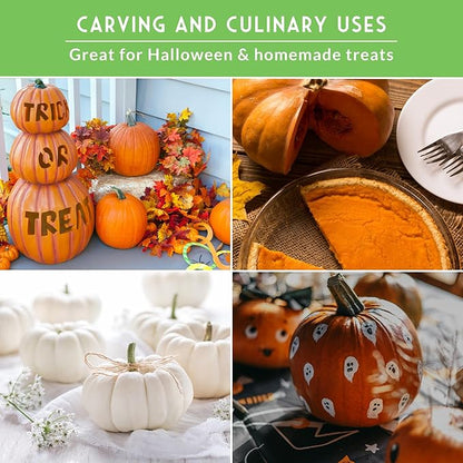 Pumpkin Seeds 4 Variety Pack for Planting – Small Sugar, Jack O’ Lantern, Fairytale & Casper Heirloom Non-GMO Pumpkin Seed Collection | Survival Garden Seeds