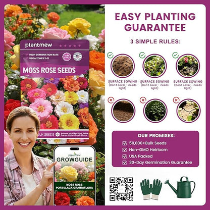 Moss Rose Seeds Bulk Pack - 50,000+ Non-GMO Heirloom Portulaca Seeds for Planting Outdoors, Rainbow Color Mix, Drought-Tolerant Ground Cover & Container Flowers, USDA Zones 2-11
