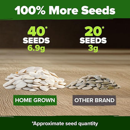 HOME GROWN Pumpkin Seeds for Planting - 5 Variety Mix - 40 Seeds - Heirloom Non GMO USA - Vegetable Garden - Edible & Jack O Lanterns - Connecticut Field Blue White Mini - Autumn Harvest