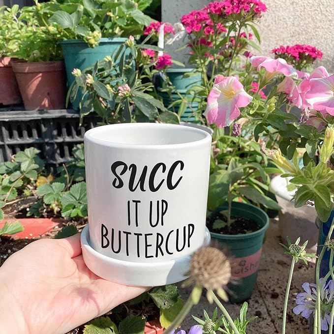 Funny Succulent Planter - SUCC it Up Buttercup, Cute Ceramic Office Plant Pot with Drainage Hole & Ceramic Tray - 4.3'' Deeper Design