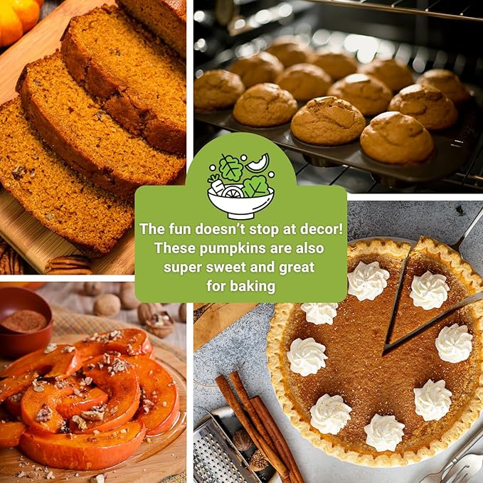 Sow Right Seeds - Decorative Pumpkin Seed Collection for Planting - Jarrahdale, Galeux d’Eysines, and Winter Luxury Pumpkins - Non-GMO Heirloom Packets with Instructions to Plant and Grow