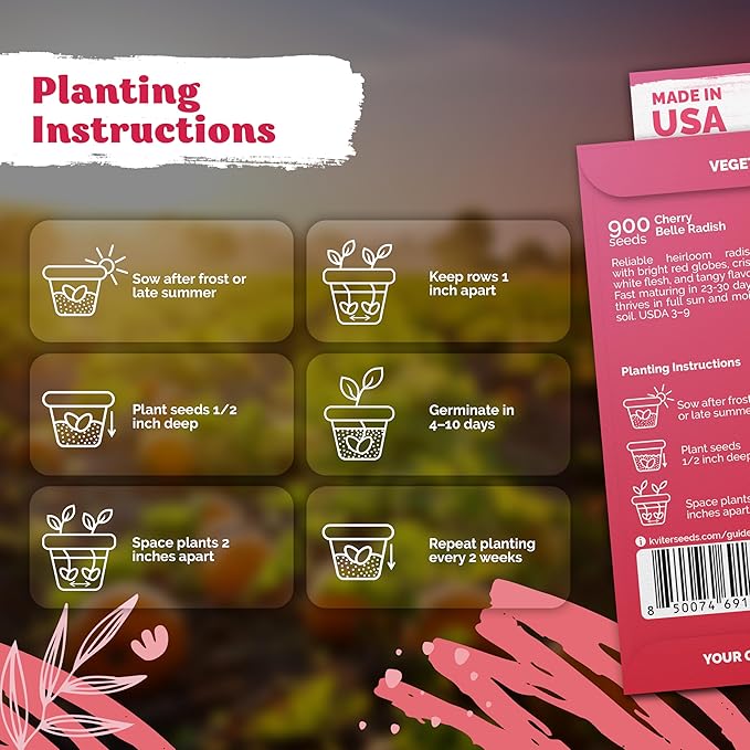 KVITER 900 Cherry Belle Radish Seeds (Raphanus sativus) - Non-GMO Vegetable Seed Packet, Crisp Mild Flavor - Organic & Heirloom Red Radish Seeds for Planting Vegetables in Outdoor & Indoor Garden