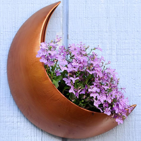 Wall Planter with Drain Holes – Outdoor Hanging Moon Planter for Fence, Patio, or Garden – Boho Crescent Wall Decor for Succulents, Air Plants, Herbs & Flowers – Witchy Gifts for Plant Lovers