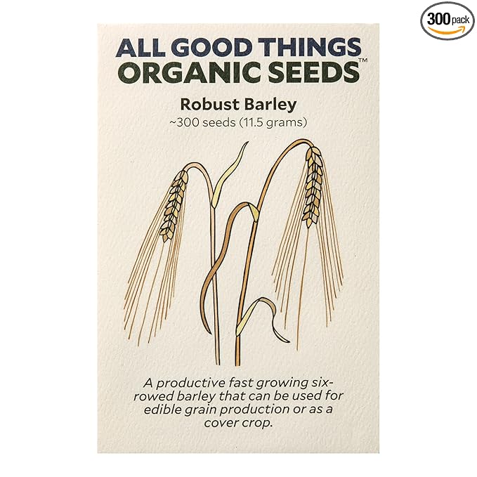 All Good Things Organic Robust Barley Seeds for Planting: Six Row Grain for Sprouting, Whole Heritage Grain - 300 Seed Packet