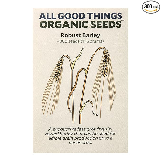 All Good Things Organic Robust Barley Seeds for Planting: Six Row Grain for Sprouting, Whole Heritage Grain - 300 Seed Packet