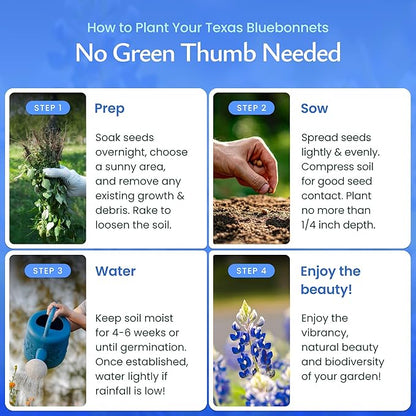 Created By Nature Texas Bluebonnet Seeds, 750+ Wildflower Seeds, Texas State Flower