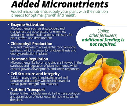 Jack's Classic 20-10-20 Citrus Feed Water-Soluble Fertilizer with Micronutrients to Provide Better Growth and Fruiting in Tropical Fruiting Plants, 1.5lbs
