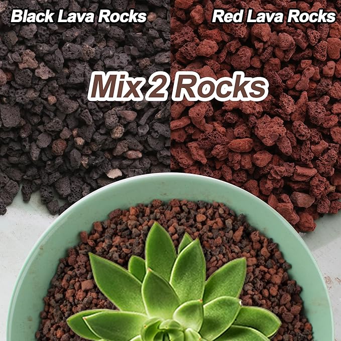 3lb Lava Rocks for Plants - Horticultural Volcanic Gravel for Drainage in Succulents, Bonsai, Terrariums and Landscaping