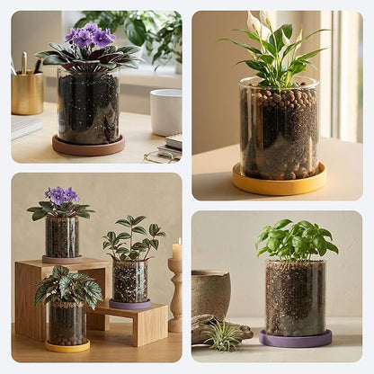 3-Pack 4 Inch Clear Glass Plant Pots with Drainage and Ceramic Trays, Indoor Herb Planters for Home Office, Succulents & Small Plants (Soft 3 Colors)
