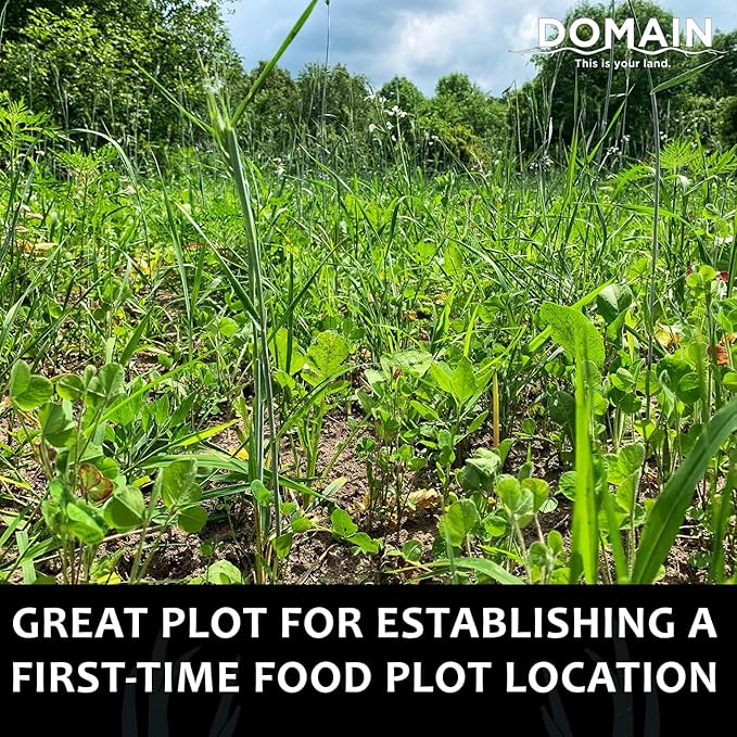 Domain Outdoor Overhaul Deer Food Plot Seed, Spring Triticale, Crimson Clover, Balansa Clover, Buckwheat, Tillage Radish, Great to Plant in Spring, Designed to Improve Soil and Attract Deer, 1/4 Acre