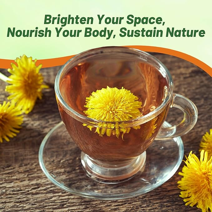 Outsidepride Dandelion Seeds for Planting - 10,000 Seeds Perennial, Easy to Grow & Drought Tolerant, Taraxacum Officinale Herb Seeds with Yellow Blooms for Edible Landscaping & Wildlife Attraction