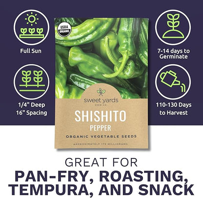 Organic Shishito Pepper Seeds – Two Seed Packets! – Approx 30 Open Pollinated Non-GMO Seeds Per Packet (60 Total) – Sweet Yards Seed Co.