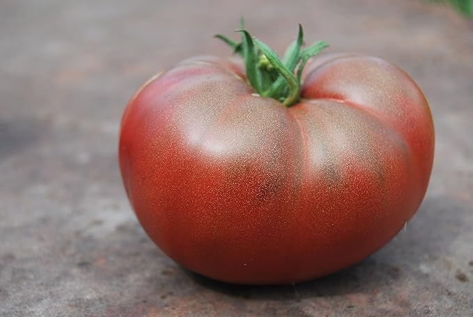 Seeds Black Elephant Tomato Determinate Non GMO Vegetable for Planting