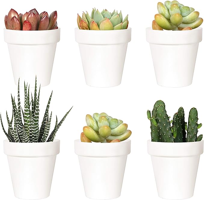 Youngever 10 Pack 3 Inch Mini Plastic Planters Indoor Flower Plant Pots, White Gardening Pot with Drainage for All House Plants, Flowers, Herbs, Succulents, NO Plant Included (Classic)