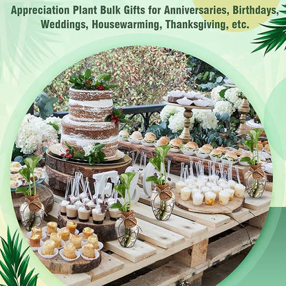 Baderke 48 Pack Big 10oz Plastic Plant Propagation Stations with Hole Lid Planter Vase Clear Propagation Jars with Thank You Tags for Plant Lover Gifts for Women Office Home Garden