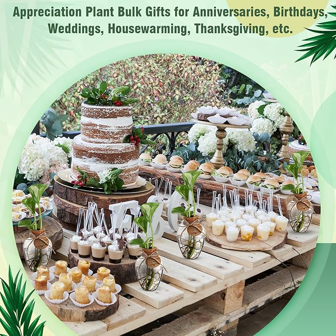 Baderke 12 Pack Big 10oz Plastic Plant Propagation Stations with Hole Lid Planter Vase Clear Propagation Jars with Thank You Tags for Plant Lover Gifts for Women Office Home Garden