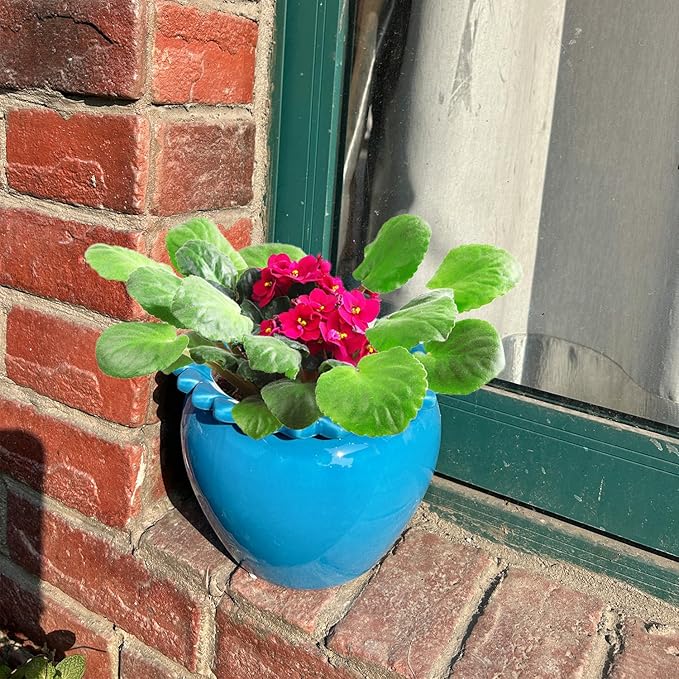 African Violet Pots 6.5 * 4.6 Inch Blue Ceramic Easy Plant Self Watering Pot Blue Ceramic Flowerpot with Water Absorbing Inner Pot Orchid Planter Lawn Yard Outside Decor
