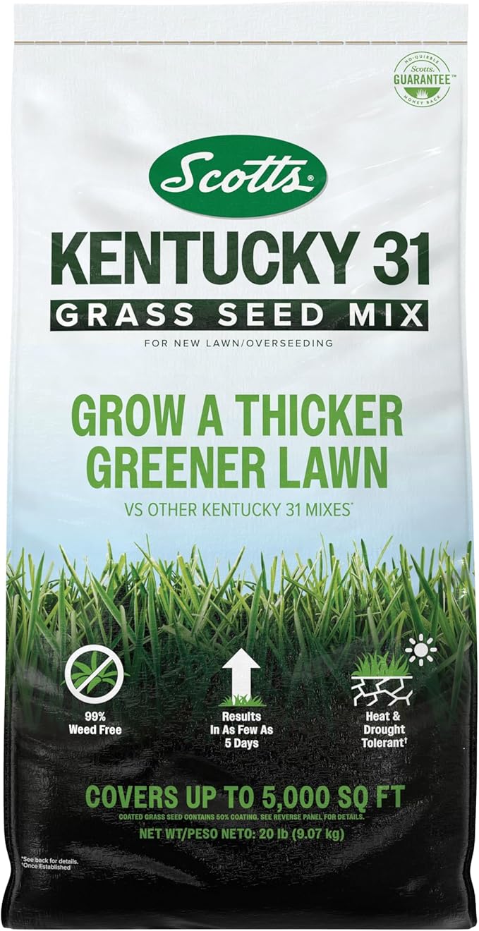 Scotts Kentucky 31 Grass Seed Mix for New Lawns or Overseeding - Lawn Grass Seed That Grows Thicker and Greener vs. Other Kentucky 31 Mixes, Covers up to 5,000 sq. ft.