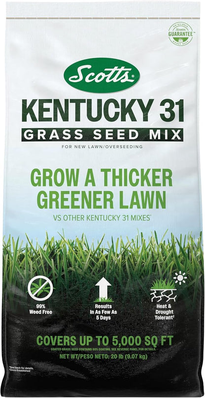 Scotts Kentucky 31 Grass Seed Mix for New Lawns or Overseeding - Lawn Grass Seed That Grows Thicker and Greener vs. Other Kentucky 31 Mixes, Covers up to 5,000 sq. ft.