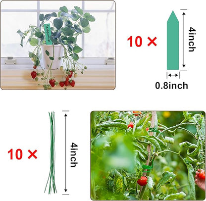 Augshy Moss Pole - 20 Inch Coir Totem for Monstera Climbing Indoor Creepers Plant Support Extension (2 Pieces, 12 Inch Each)