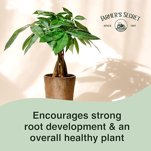 Farmer’s Secret Money Tree Liquid Plant Food Fertilizer (8oz) - Super Concentrated - Strengthen Roots and Encourage Growth in all Varieties of Money Trees
