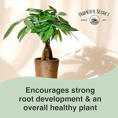 Farmer’s Secret Money Tree Liquid Plant Food Fertilizer (8oz) - Super Concentrated - Strengthen Roots and Encourage Growth in all Varieties of Money Trees