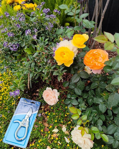 Fondwell 6" Gardening Shears Hand Pruners: Lightweight Garden Trimmers with Bypass Blades - Reliable Bonsai Cutters for Small Plants