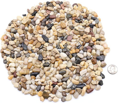 Rocks for Plants. Mixed Color Decorative Pebbles. 1/5 Inch 5 lbs. for Garden, Landscaping, Indoor, Vase fillers, Crafting, Succulents, pots, Plants (Mini (0.2 Inch), Mixed Color, 5)
