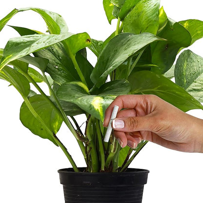 Jobe's Plant Food Fertilizer Spikes, Easy Plant Care for All Indoor Flowering Houseplants, 50 Count