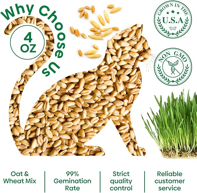 Cat Grass Seeds, 4 Oz, Non-GMO Wheat Cat Grass Seeeds & Oat Seeds Mix, High Germination Cat Grass Seeds Grown in USA for Indoor Cats