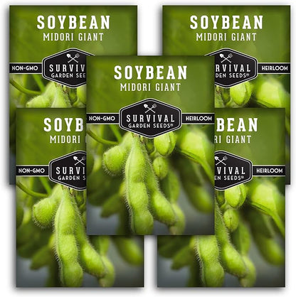 Midori Giant Soybean Seeds for Planting - Grow Protein-Rich Edamame Pods in Your Home Vegetable Garden - Non-GMO Heirloom Soy Bean - Survival Garden Seeds (5 Packs)