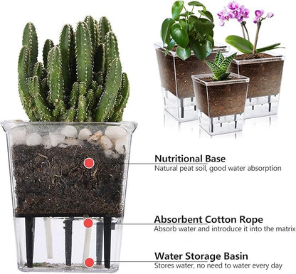 Self Watering Pots Set, 3 Pack Self Watering Pots for Indoor Plants, Clear Planter Pot with Deep Reservoir for Spider Plant, Orchid, African Violet (Clear, 3 Medium)