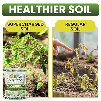 Mycorrhizal Fungi with Beneficial Bacteria, Trichoderma, Sea Kelp, Molasses, Yucca, Smart Grower Supercharge Plant Root Enhancer 4oz Super Concentrate Powder Makes 50 Gallons