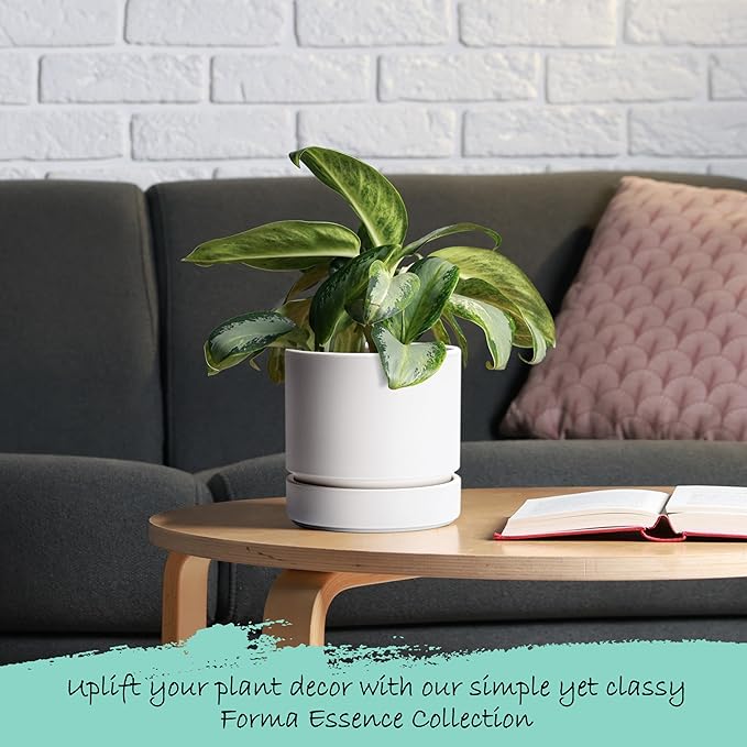 Phoenix Vine 6 Inch Planter Pot with Drainage Hole & Saucer, Deep Water Catch Tray, Straight Cylindrical Round Pot for Plants, Matte White, Pack of 4, 23-B-S-4