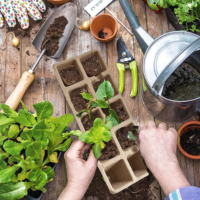 200 pcs Seed Starter Pots Kits Include 50pcs 4 Inch Peat Pots with Drainage Holes 100 Cells 2 Inch Seedling Starter Trays and 50 Pcs Plant Labels Outdoor Garden Germination Nursery Pots