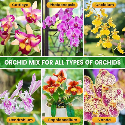 Legigo 4 QT Orchid Potting Mix for Repotting- Include Moss, Pine Bark, Perlite and Coco Peat, Orchid Bark Potting Mix, Orchid Soil for Potting Indoor Plants, Enhanced Drainage & Root Ventilation