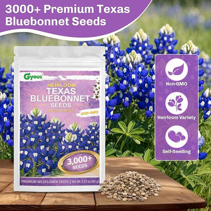 Texas Bluebonnet Seeds 3000+ to Plant - Lupinus texensis Full Growing Guide - Iconic Annual Blue Wildflower - Drought Tolerant for Meadows & Gardens - Fall Planting for Spring Blooms