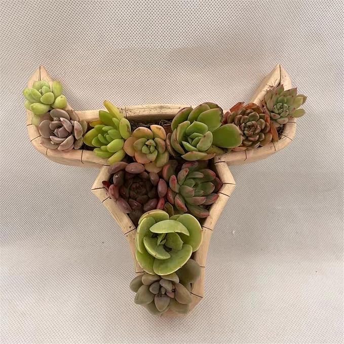 Animal Shaped Wooden Succulent Plant Pot,Cute Animal Succulent Garden Planter for Bonsai Decorations,Creative Unique Desktop Planter Planter Outdoor Pots Garden Decorations (Cow)