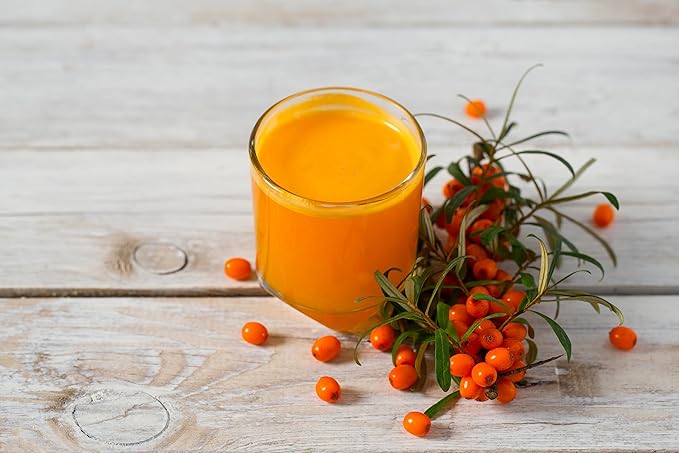 Sea Buckthorn 100 Seeds (Hippophae rhamnoides) Heirloom - Open Pollinated