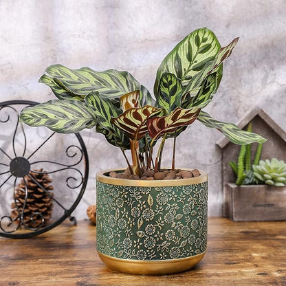 6 +4.4 Inch Cement Planter Decorative Pots with Drainage Hole for All House Plants, Succulents, Flowers, and Cactus (Green)