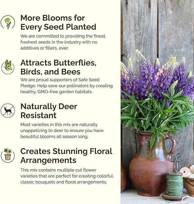 Eden Brothers Arkansas Wildflower Mixed Seeds for Planting, 1 oz, 30,000+ Seeds with African Daisy, Cosmos | Attracts Pollinators, Plant in Spring or Fall, Zones