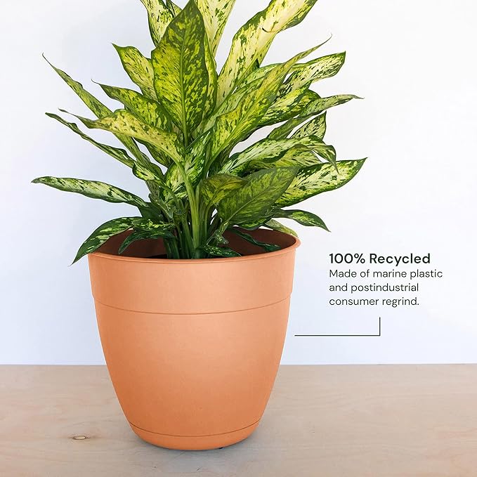 Bloem Dayton Planter with Saucer: 12" - Coral - 100% Recycled Plastic Pot, Removable Saucer, Elevated Feet, for Indoor and Outdoor Use, Gardening, 3 Gallon Capacity