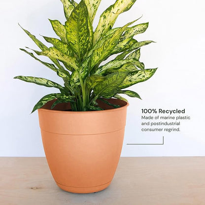 Bloem Dayton Planter with Saucer: 12" - Coral - 100% Recycled Plastic Pot, Removable Saucer, Elevated Feet, for Indoor and Outdoor Use, Gardening, 3 Gallon Capacity